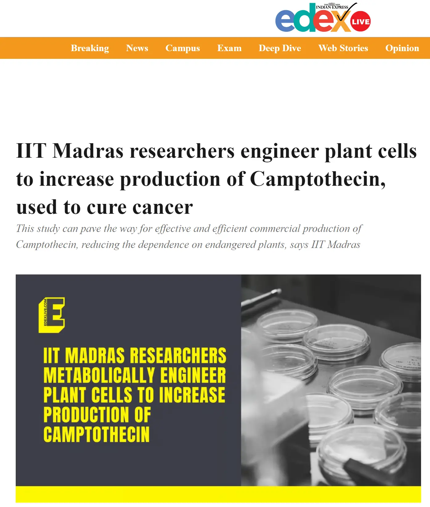 IIT Madras researchers engineer plant cells to increase production of Camptothecin, used to cure cancer