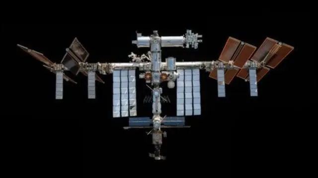 IIT Madras, NASA researchers study multi-drug resistant pathogens on international space station