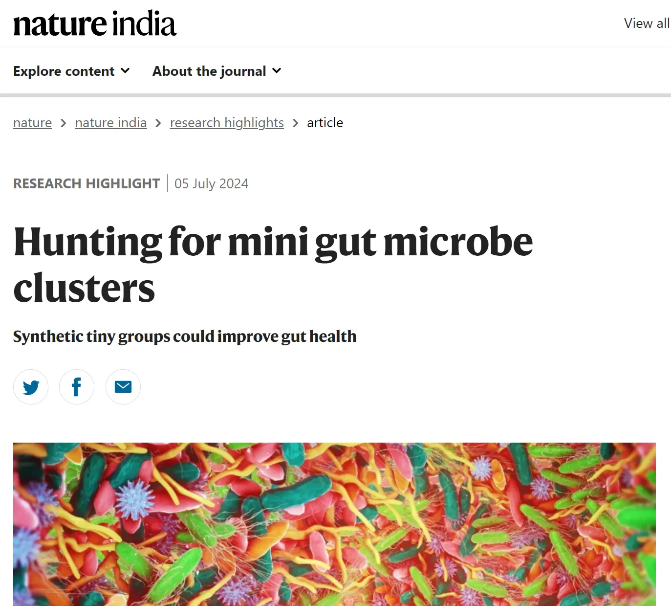 Hunting for mini gut microbe clusters