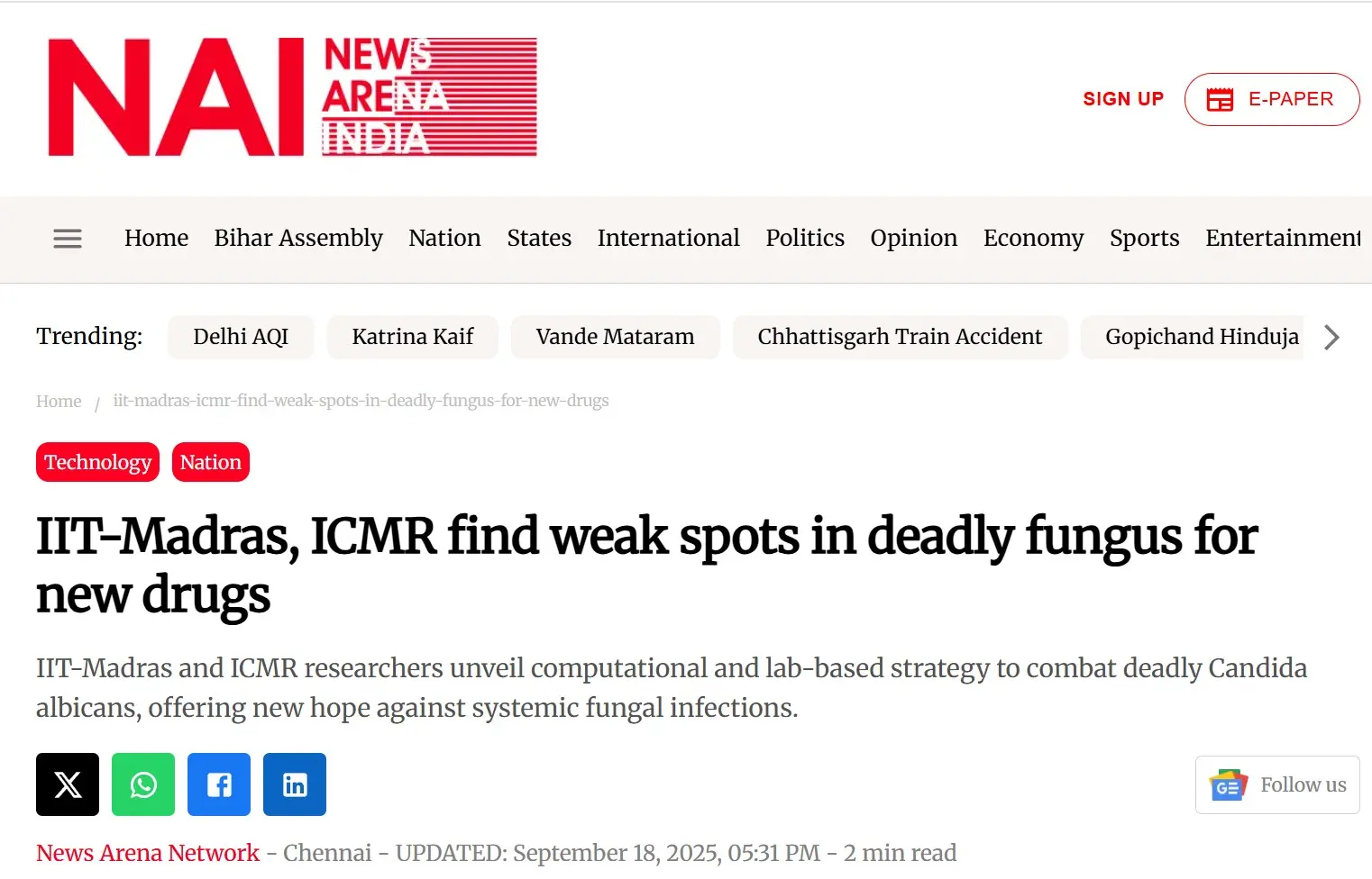 IIT-Madras, ICMR find weak spots in deadly fungus for new drugs