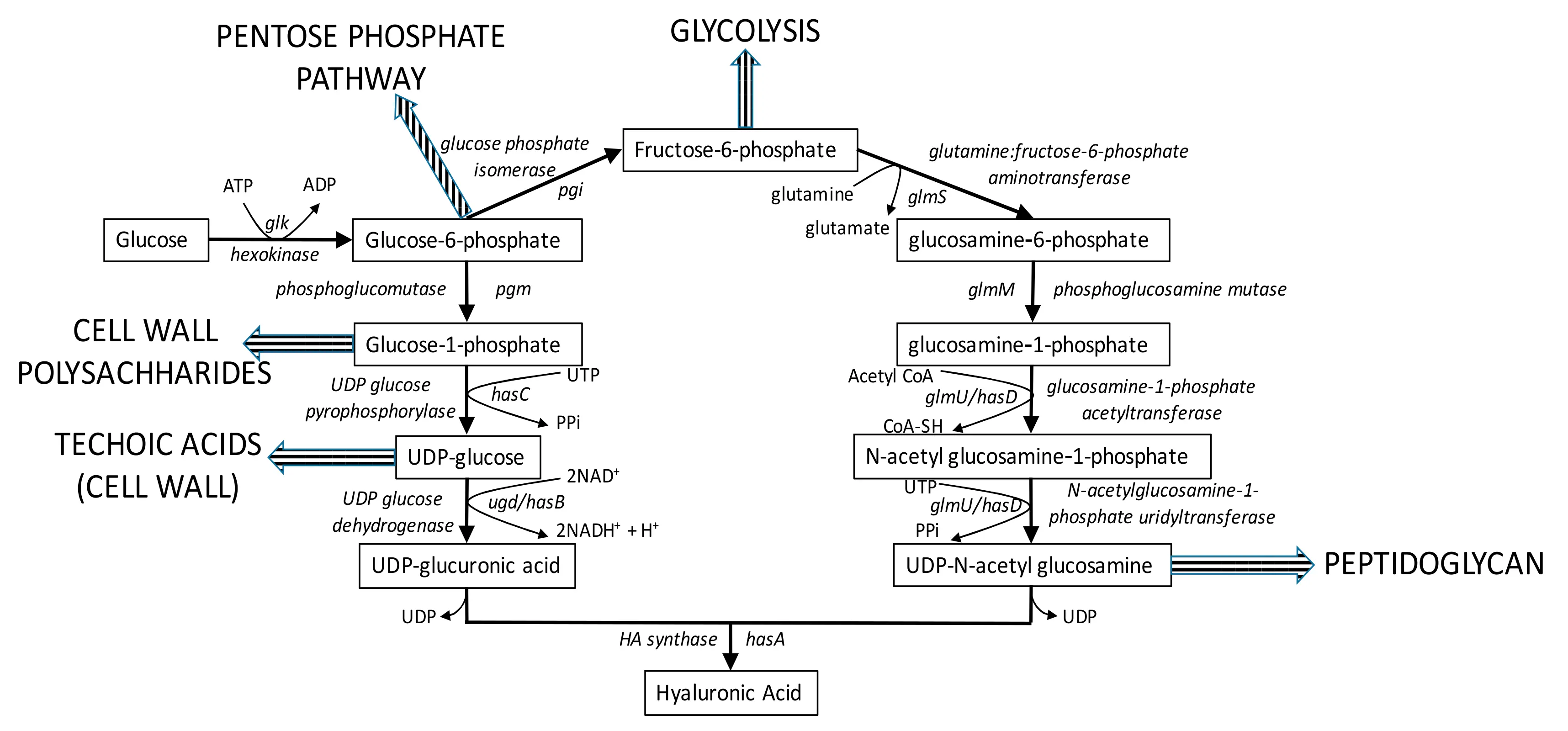 Publication Image