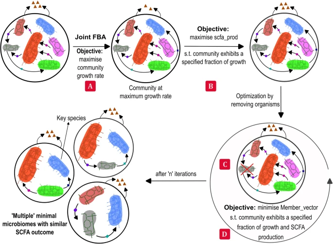 Designing function-specific minimal microbiomes