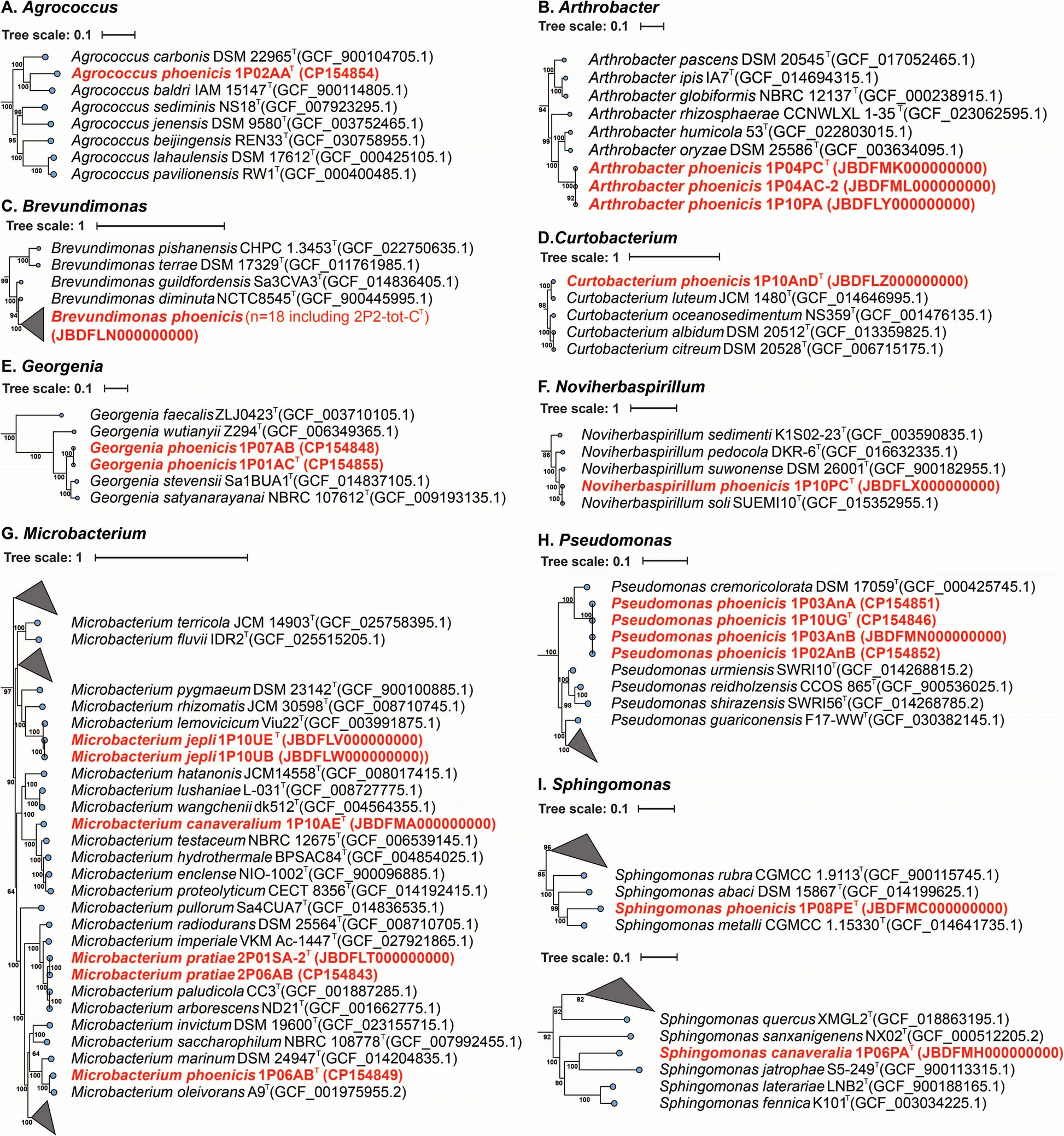Publication Image